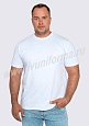 Футболка мужская арт. ТР-14-15-ТР (Size+) - 1